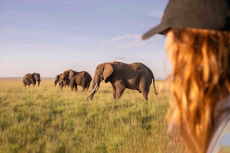 safari tanzania