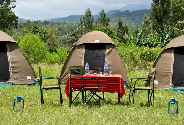 ACCOMMODATION OPTIONS IN SERENGETI Tented Camps 2