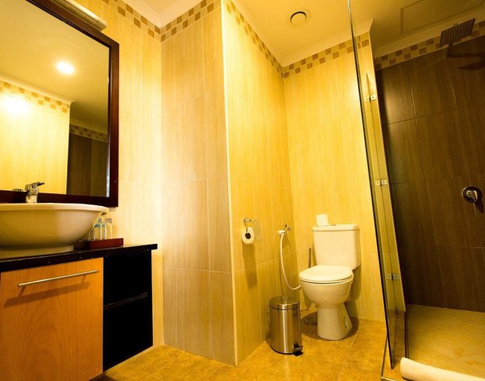kilimnjaro wonders hotel new 7 (1)