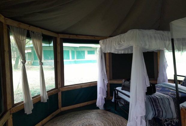 osero serengeti tented camp3