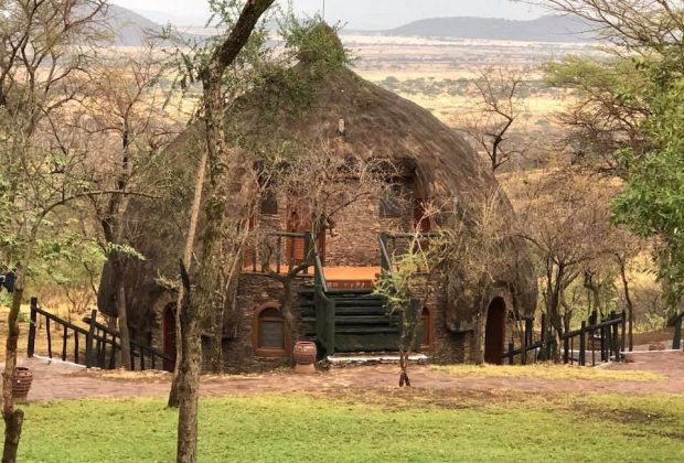 serengeti serena safari lodge