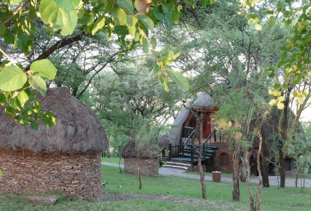 serengeti-serena-safari